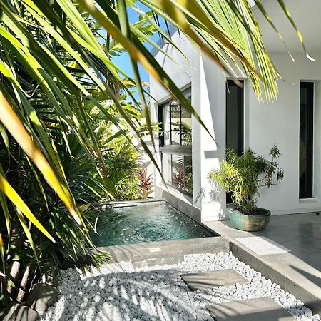 Le Yucca 974 By J&V Villa Saint Pierre Eksteriør billede
