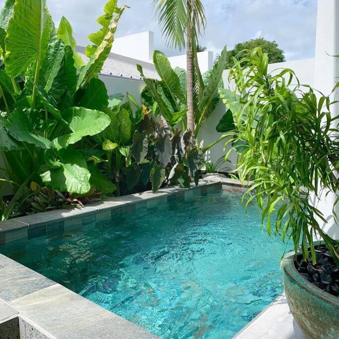 Le Yucca 974 By J&V Villa Saint Pierre Eksteriør billede