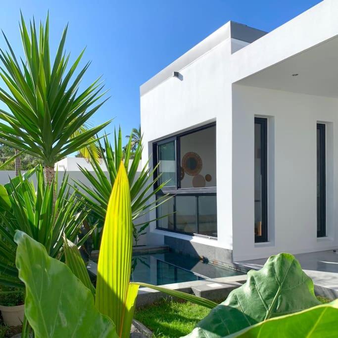 Le Yucca 974 By J&V Villa Saint Pierre Eksteriør billede