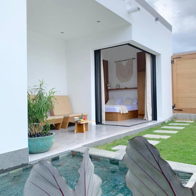 Le Yucca 974 By J&V Villa Saint Pierre Eksteriør billede