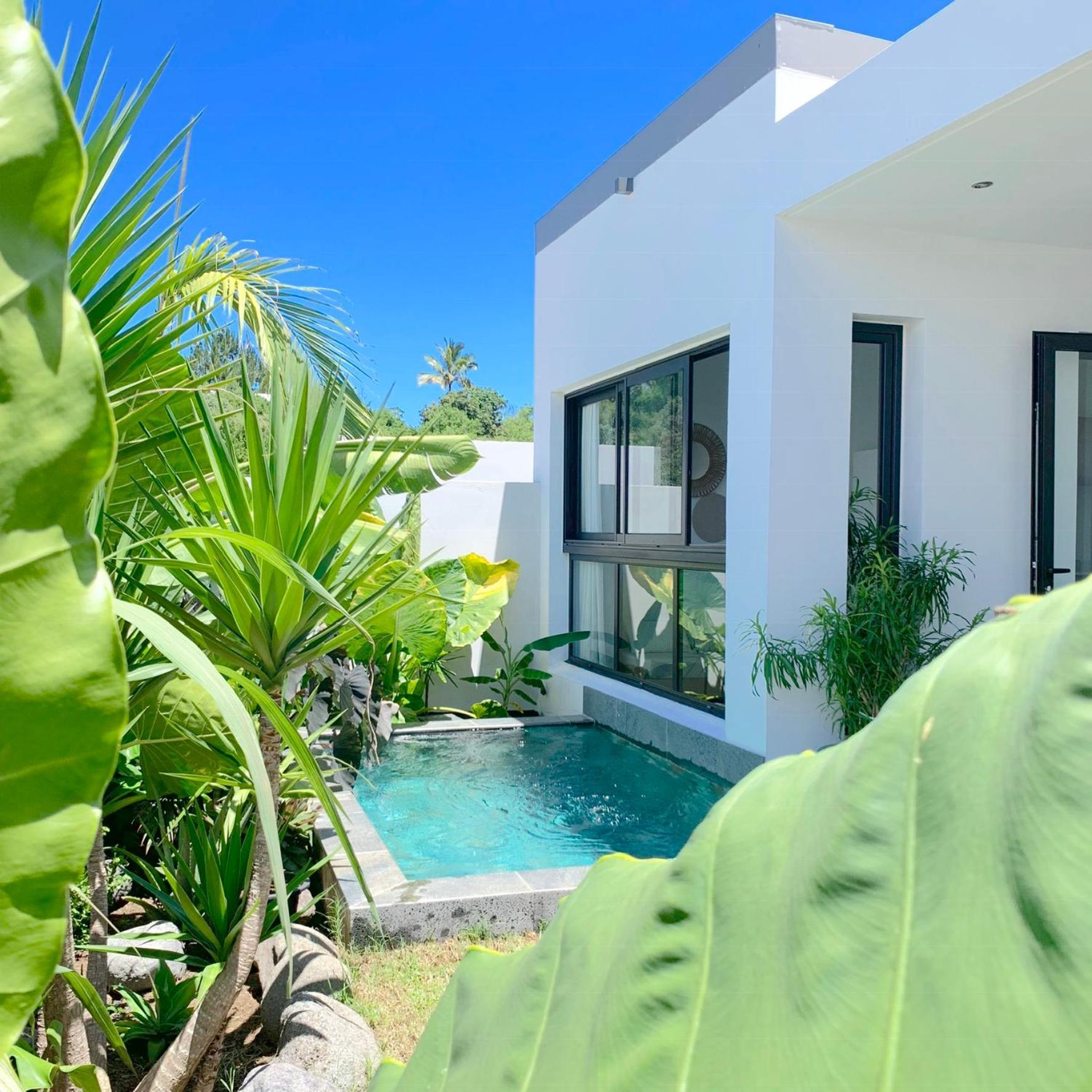 Le Yucca 974 By J&V Villa Saint Pierre Eksteriør billede