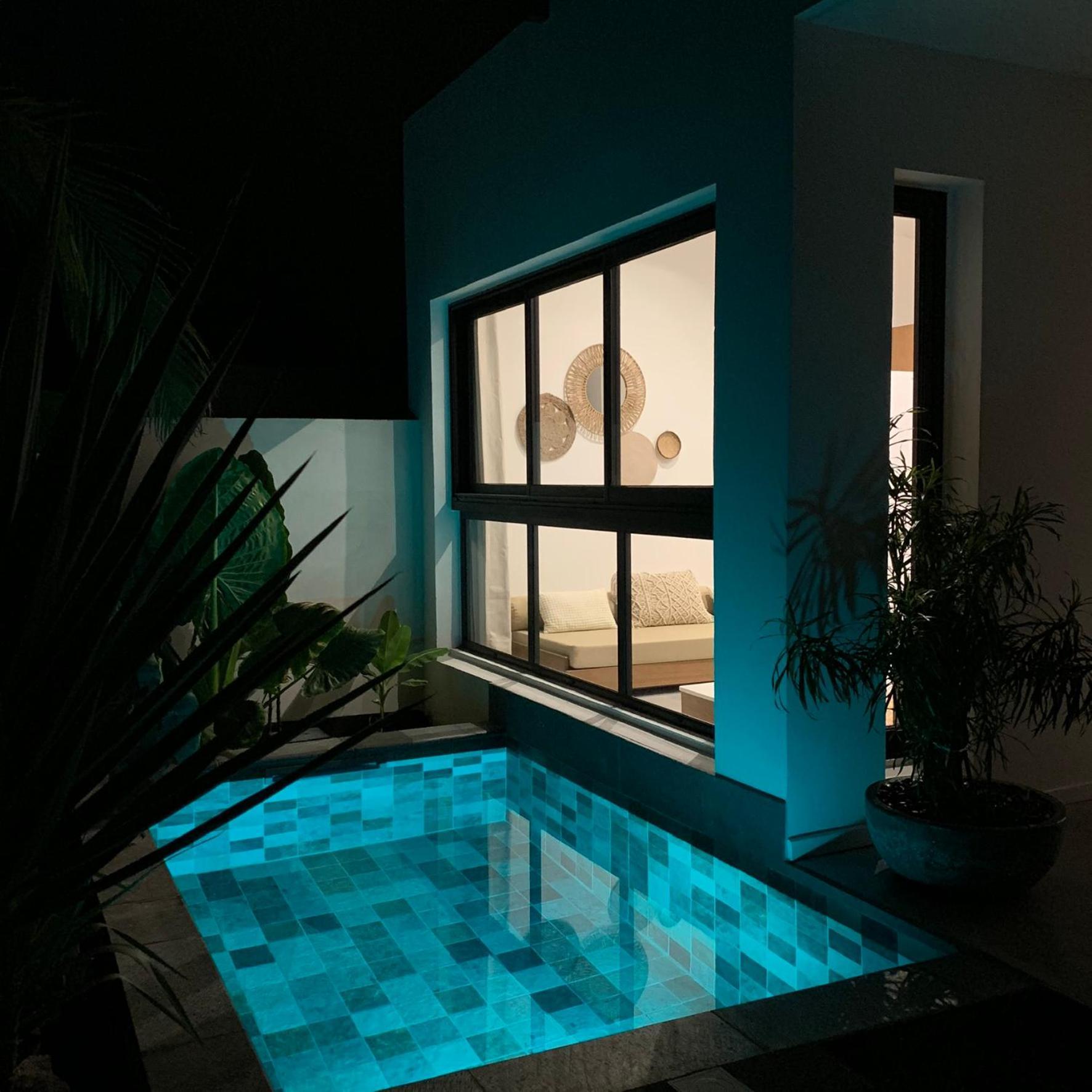 Le Yucca 974 By J&V Villa Saint Pierre Eksteriør billede