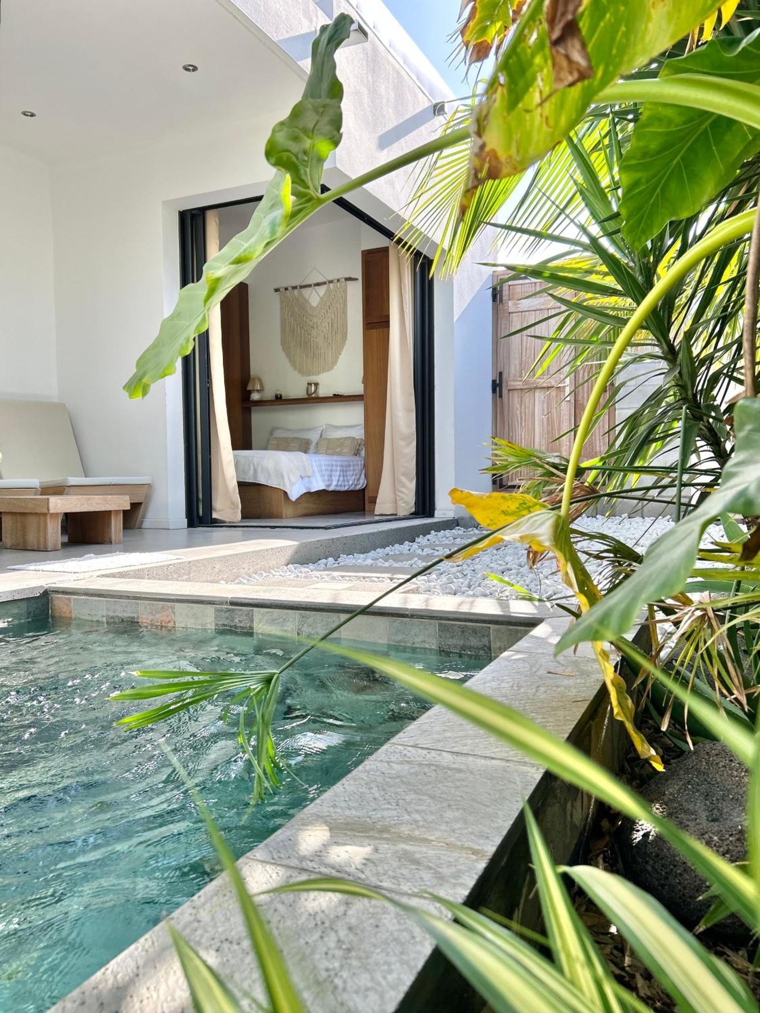 Le Yucca 974 By J&V Villa Saint Pierre Eksteriør billede