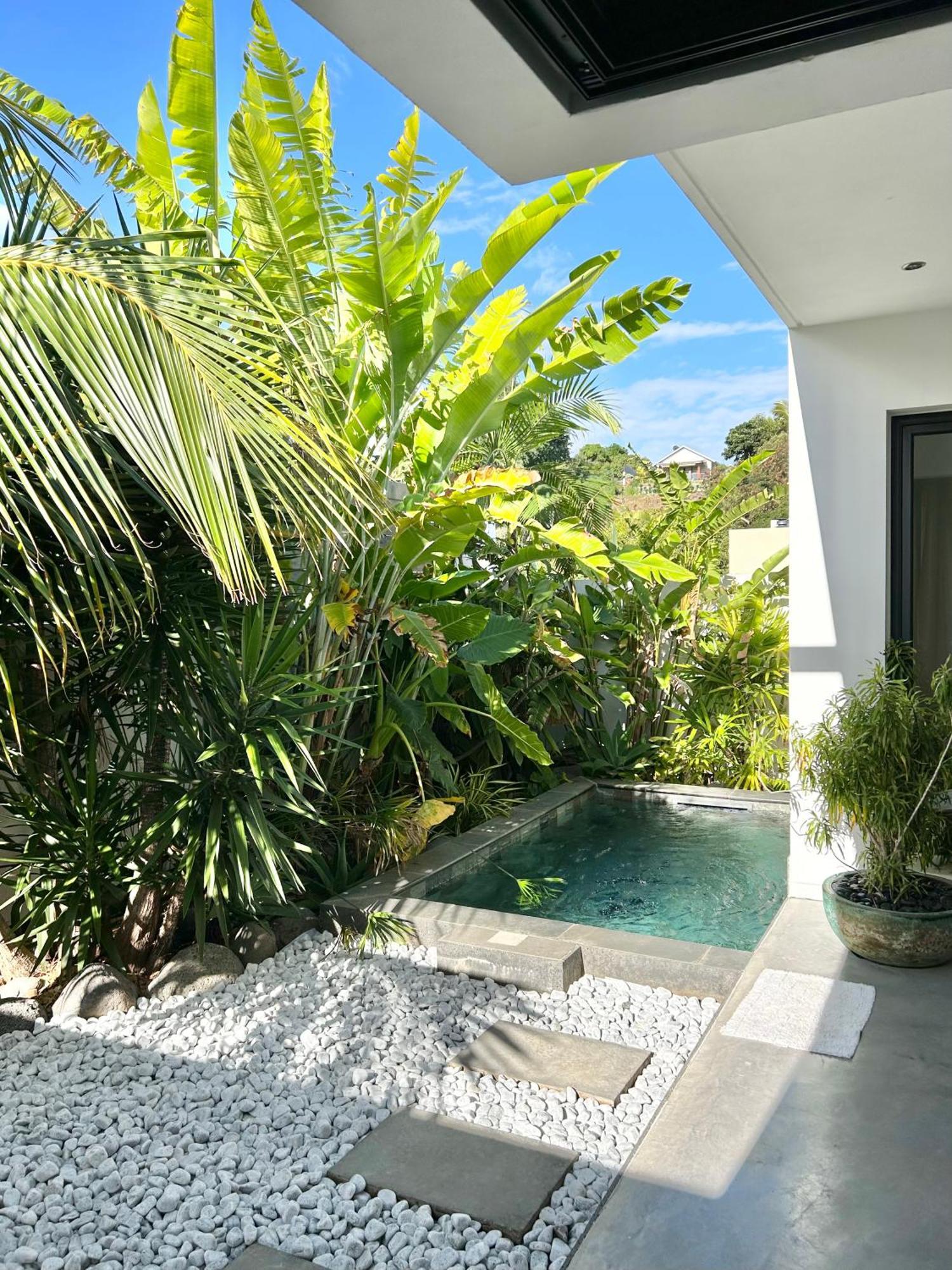 Le Yucca 974 By J&V Villa Saint Pierre Eksteriør billede